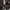 Nike Streetwear Sportswear Tracksuit Pria black photo 2