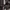 Nike Streetwear Sportswear Tracksuit Pria Black