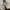 Nike Streetwear Y2K Tracksuit Pria white photo 3
