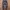 Nike Y2K Sportswear Tracksuit Pria Black