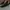 VANS Streetwear Skater Sneakers Pria white black photo 3