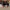 VANS Streetwear Skater Sneakers Pria white black photo 5