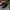 VANS Streetwear Skater Sneakers Pria white black photo 2
