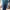 Vintage Boyfriend jeans Wanita navy photo 4