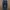 Adidas Y2K Sportswear Sweatpants & Joggers Pria black photo 1