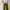Goth Cosplay Skirt Wanita green photo 1