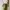 Goth Cosplay Skirt Wanita green photo 3