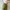 Goth Cosplay Skirt Wanita green photo 4