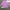 Casual Muslim Blouse Wanita purple pink photo 1