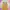 Streetwear Sportswear Cami top Wanita multicolor yellow photo 1