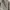 Japanese brand Vintage Harrington jacket Pria tan gray photo 5