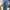 Vintage High waisted jeans Wanita blue photo 4