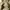 Burberry Casual Casual pants Pria khaki photo 6