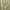 Burberry Casual Casual pants Pria khaki photo 2