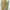 Burberry Casual Casual pants Pria khaki photo 8