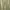 Burberry Casual Casual pants Pria khaki photo 1