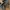 Adidas Y2K Sportswear Tracksuit Pria black photo 3