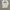 Feltics Streetwear Sweatshirt Pria white photo 1