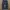 Adidas Y2K Sportswear Tracksuit Pria black photo 1
