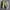 Nike Casual Sneakers Pria multicolor photo 2
