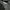 Dickies Indie Casual Sweater Pria gray photo 1