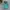 JanSport Vintage Streetwear Bag Pria green photo 1