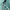 JanSport Vintage Streetwear Bag Pria green photo 3