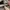 Nike Air Jordan Casual Sneakers Pria multicolor photo 6