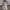 Minimalist Bodycon dress Wanita white photo 2