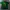 Nike Vintage Y2K T-shirt Pria green photo 1