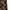 Japanese brand Vintage Y2K Skirt Wanita tan brown photo 3