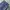 Levi's Indie Casual Jeans Pria blue photo 2