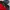 The North Face Gorpcore Biker Windbreaker Pria red black photo 7