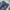 Lee Cooper Vintage Batik Jeans Pria navy photo 3
