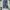 Lee Cooper Vintage Batik Jeans Pria navy photo 2
