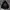Gorpcore Sportswear Windbreaker Pria black photo 4