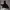 Gorpcore Sportswear Windbreaker Pria black photo 1