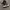 Nike Streetwear Casual Sneakers Pria black gray photo 3