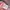 Vintage Crop top Wanita pink photo 4