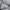 Burberry Casual Polo shirt Pria silver photo 4