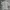 Burberry Casual Polo shirt Pria silver photo 1