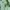 Nike Sportswear Jersey Pria green photo 5