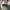 Casual Sneakers Kids white photo 4