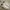 Casual Sneakers Kids White