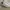 Casual Sneakers Kids white photo 2