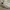 Casual Sneakers Kids White