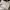 Michael Kors Casual Wanita white photo 1