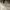 Michael Kors Casual Wanita white photo 4
