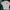 T-shirt tag delta South Carolina Size photo 2