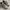 Nike Y2K Skater Sneakers Pria brown gray photo 2
